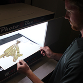 Student digitizing herbarium data