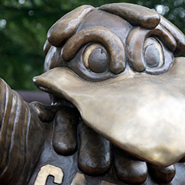 Cocky statue on campus