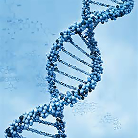 Illustration of the DNA helix. 