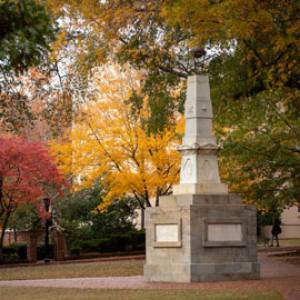 campus of the University of South Carolina with fall leaves