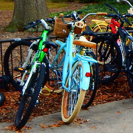 bikes parked at rack