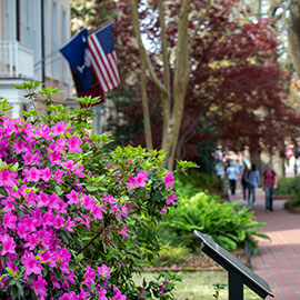 Flowers bloom outside the President's house on the Horseshoe, where the American flag and the South Carolina flag fly.