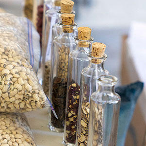 A row of corked glass bottles of seeds, receding into background.