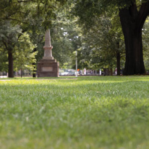 A close up of grass on the USC Horseshoe with Maxcy monument in the background.
