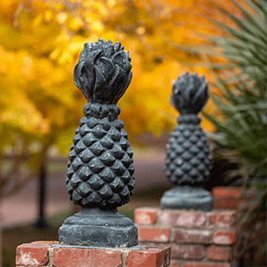 Two pineapple statues on Horseshoe during in the fall