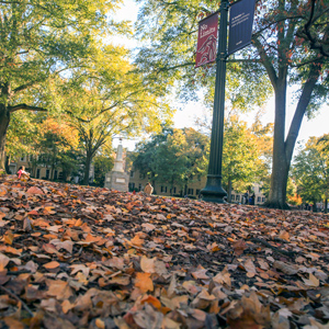Brown leaves lay on the ground of the historic Horseshoe. 