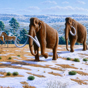 Animals that shared the landscape with humans disappeared as the ice age ended. Mauricio Antón/Wikimedia Commons, CC BY