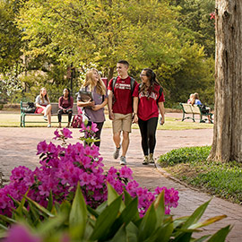 students walking along brick pathway