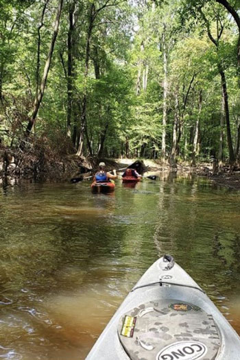 Photo of people kayaking in the congaree river