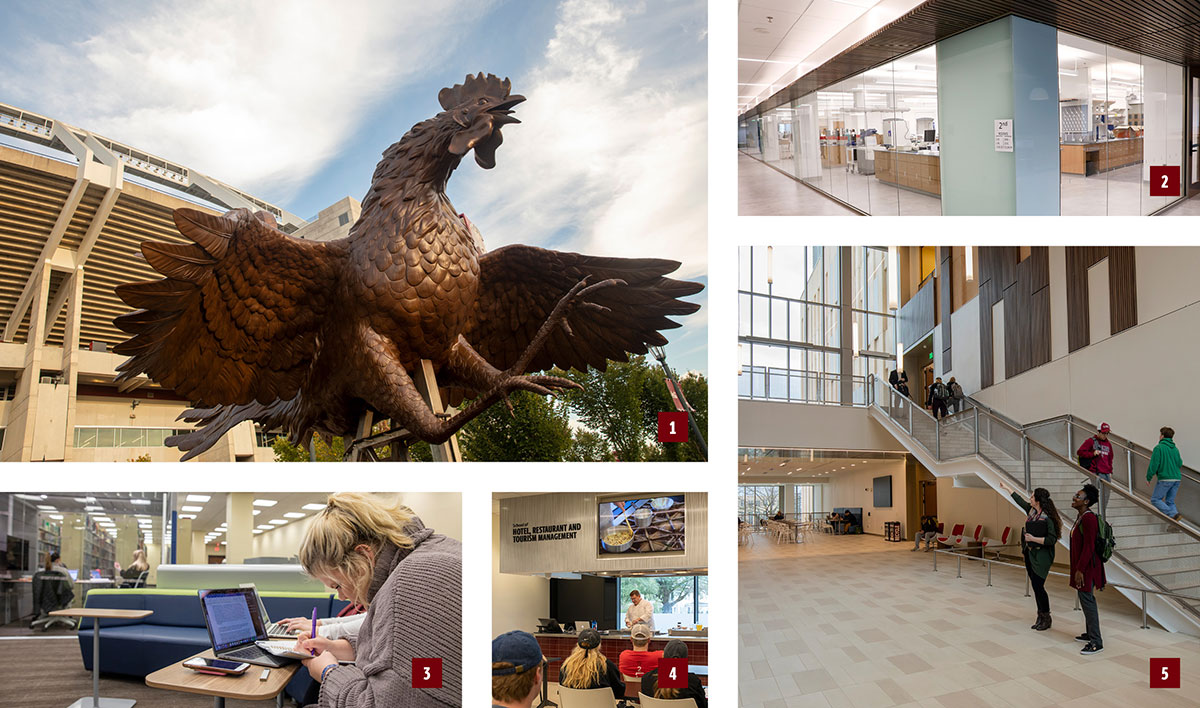 numerous images showing the gamecock statue, the chemistry labs, the lobby of the science building, the culinary lab and the library study areas. 