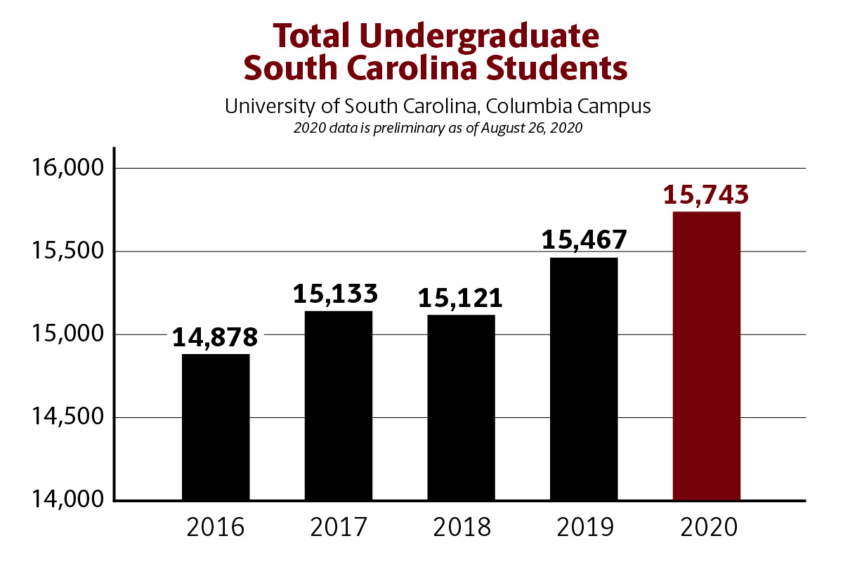 A bar chart featuring total undergraduate University of South Carolina students. The chart, in black and garnet, shows increased enrollment from 14,878 in 2016, 15,133 in 2017, 15,121 in 2018, 15,467 in 2019 and 15,743 in 2020.