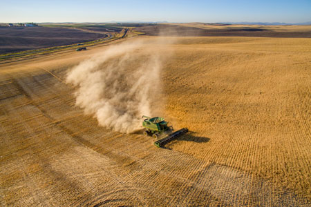 a tractor in a large grain field