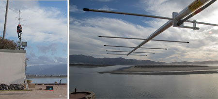 Motus bird tracking station antenna