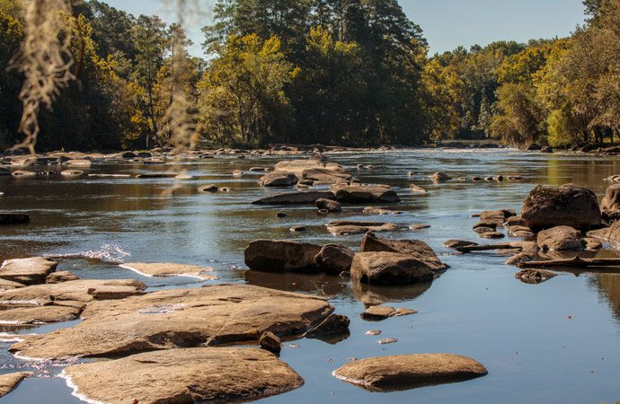 View of the Congaree River with river rocks protruding from the water.