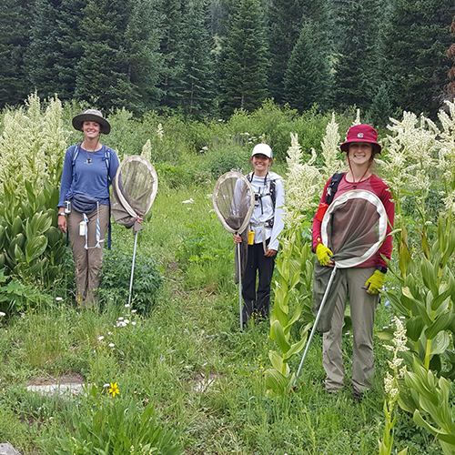 Hannah Walton holding a net with fellow researchers while out on a field study.