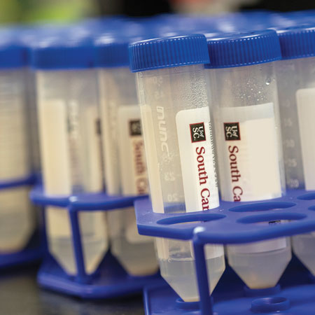 tubes of saliva ready for testing