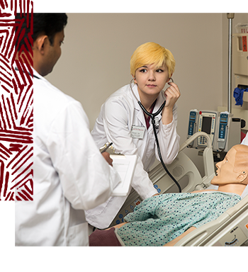 Nursing student leaning over a mannequin listening with a stethoscope.