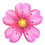 Pink flower emoji.