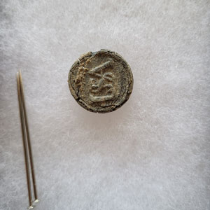 Pewter button from a soldier at the historic Camden Battlefield