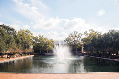 thomas cooper library with the fountains in the reflecting pond