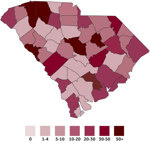 An illustration of a map of South Carolina with values representing the number of prison deaths in each county.