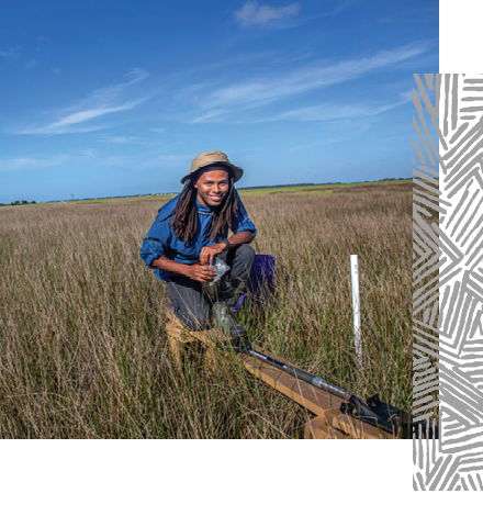 man kneels on a boardwalk in a coastal marsh