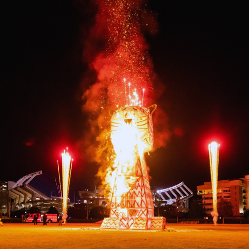 Tall wooden tiger on fire in front of Williams-Brice Stadium. 