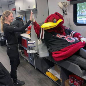 Cocky high fives a woman while sitting in a chair waiting to give blood. 