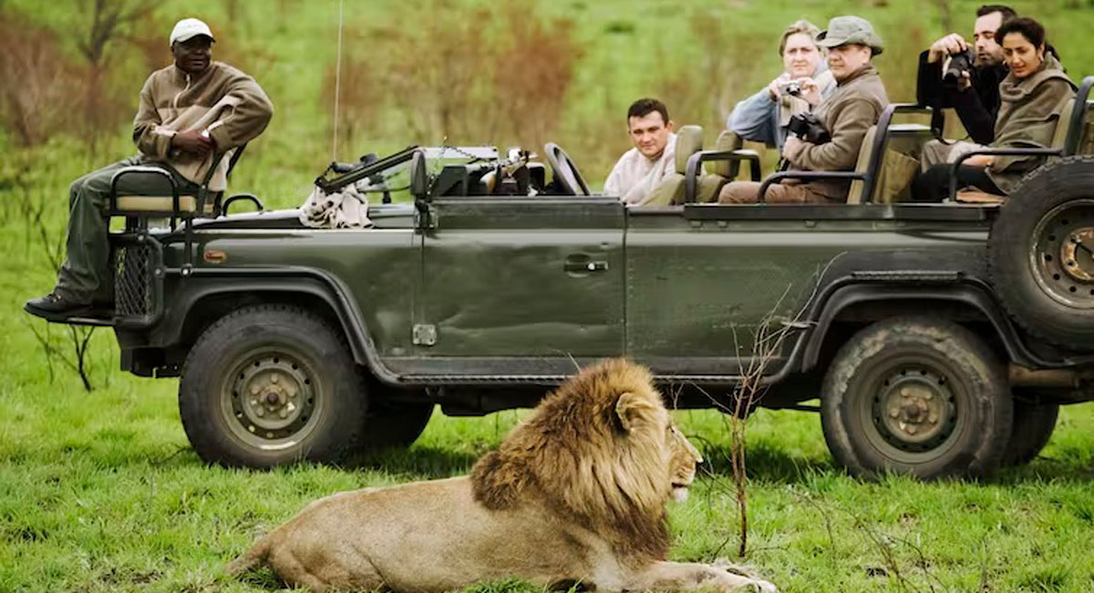 Safaris allow tourists to see animals in their natural habitats and offer much more authentic experiences than a trip to the zoo.Martin Harvey/Image Bank via Getty Images