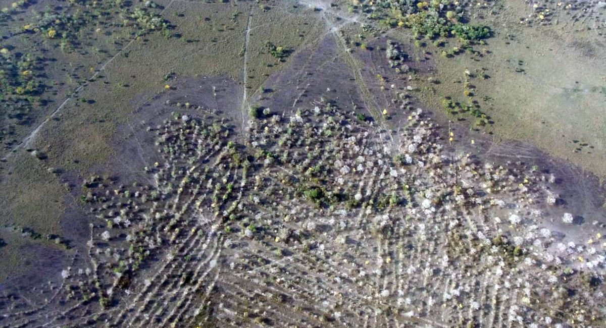 A view from a plane shows the outlines where fields were raised