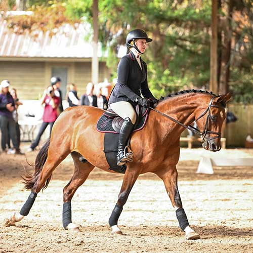 USC Equestrian team member in action