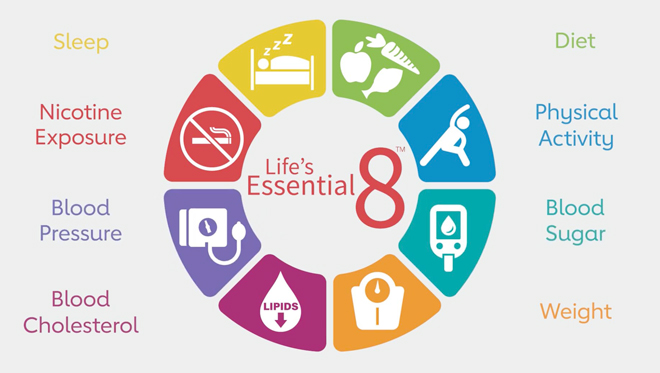 Illustrative graphic of the American Heart Association's "Life Essential 8" chart, of Sleep, Nicotine Exposure, Blood Pressue, Blood Cholestrol, Diet, Physical Activity, Blood Sugar and Weight