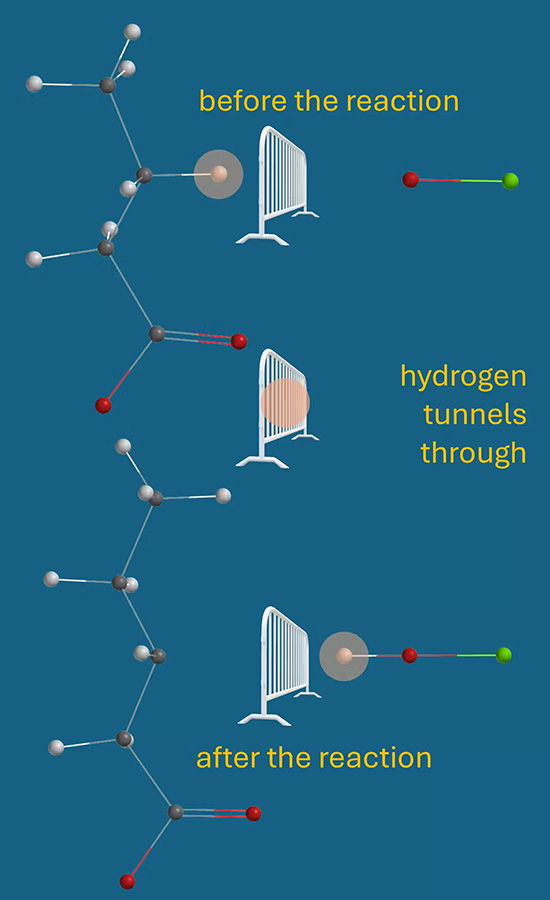 A graphic flowchart with blue background depicting the journey of a particle before and after reaction.