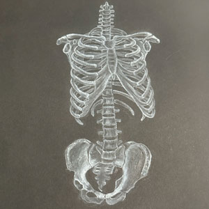 drawing of a skeleton