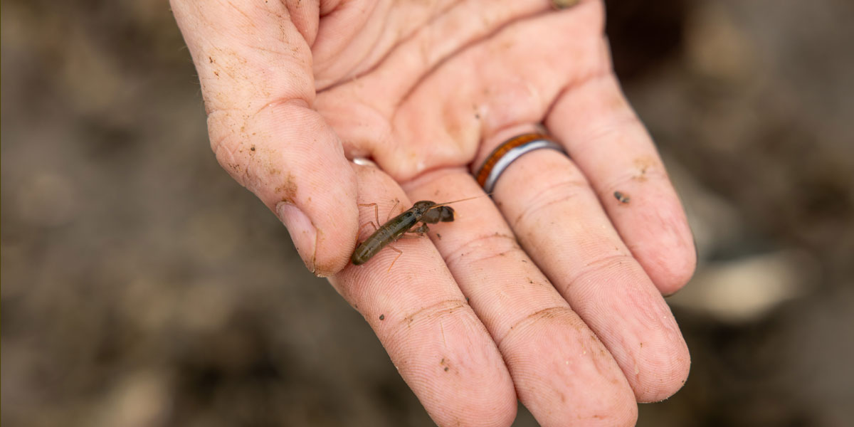 Usc University Events Usc University Events